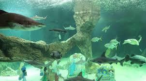 Madrid Zoo Aquarium