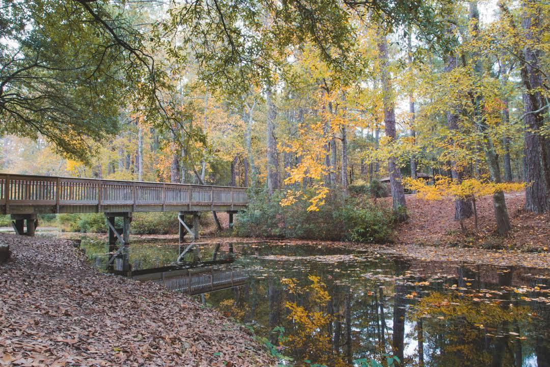 Sesquicentennial State Park