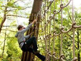 Go Ape Grizedale