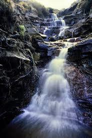 Bronte Waterfall