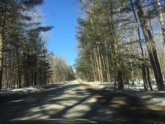 Copeland Forest