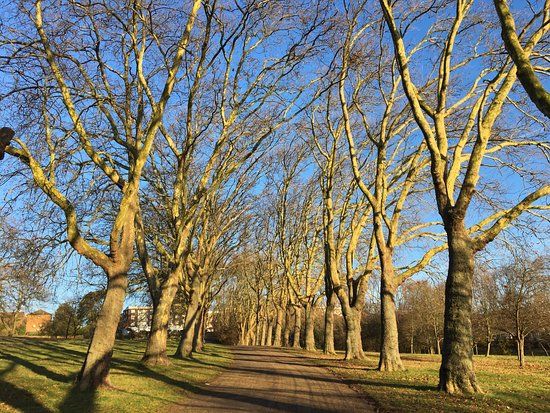 Gladstone Park