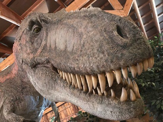 Dinosaur Museum