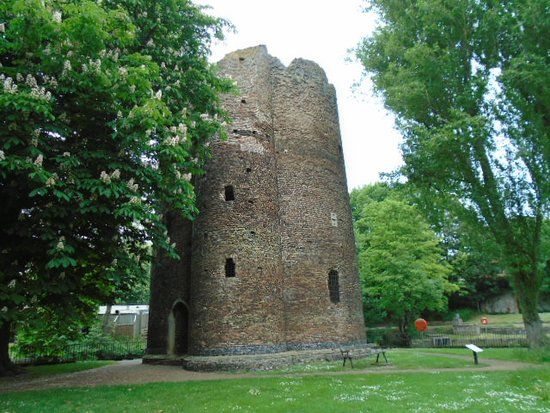 Cow Tower