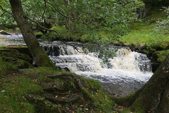 Kisdon Force