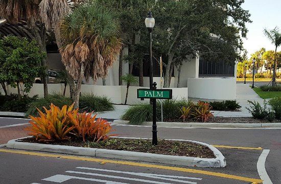 Palm Avenue Shops