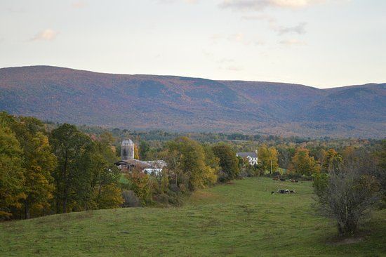 North Meadow Farm