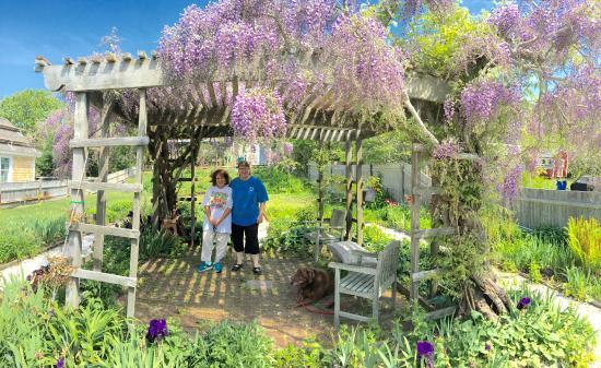 Suzanne's Garden