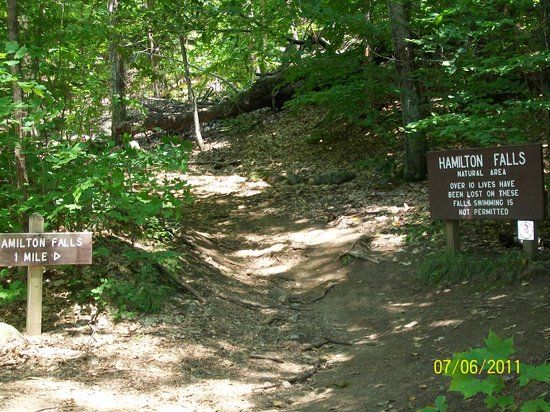 Jamaica State Park