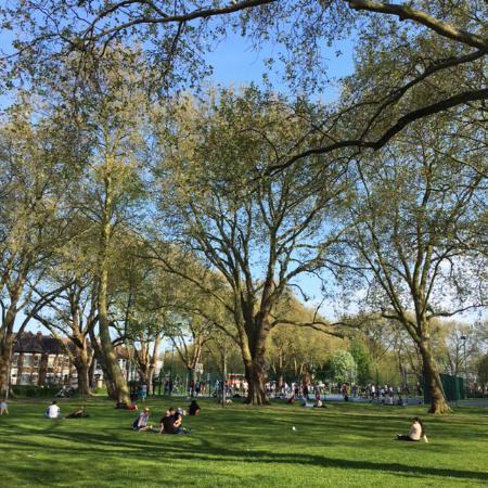 Ducketts Common