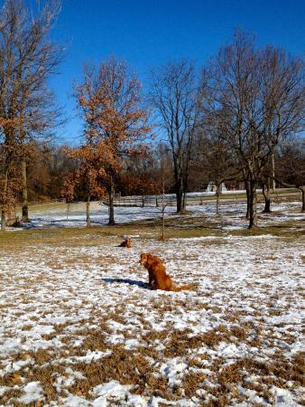 Indian Hills Park