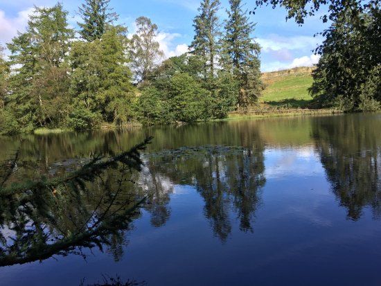 Moss Eccles Tarn
