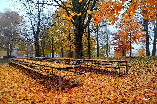 Upper Queen's Park