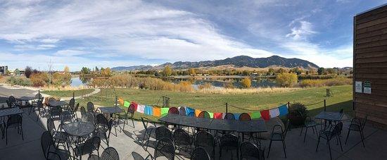 MAP Brewing