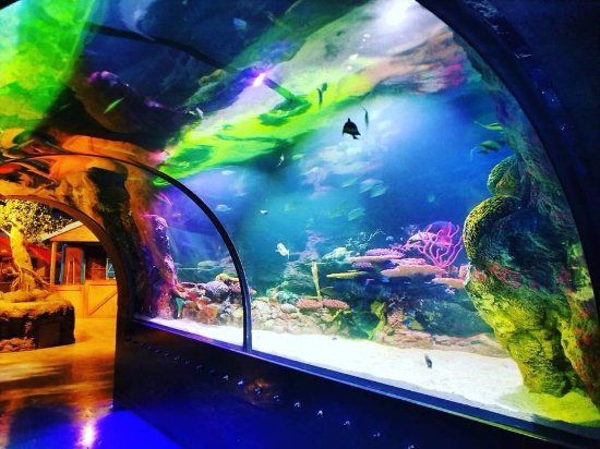 Shreveport Aquarium