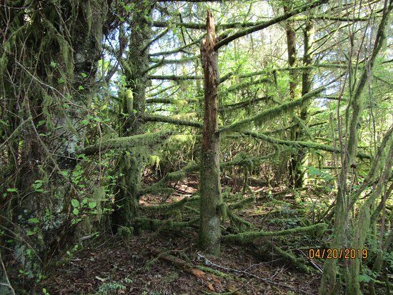 Weatherwax Trail