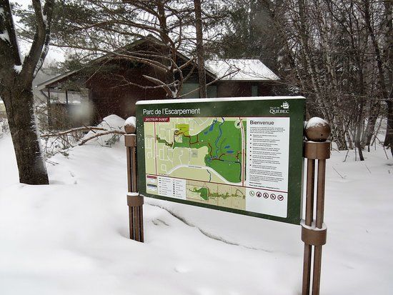 Parc des Brumes