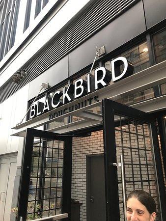 Blackbird Doughnuts
