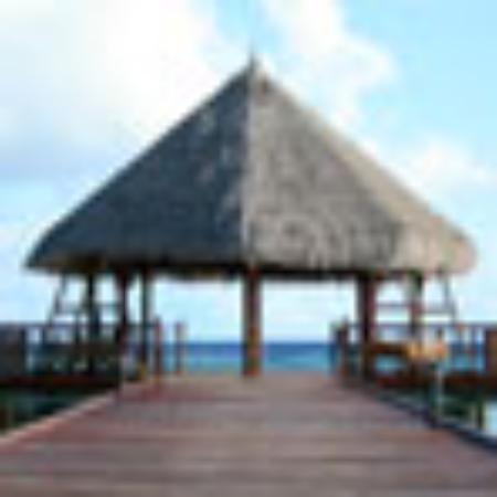Marathon #5 Grill
