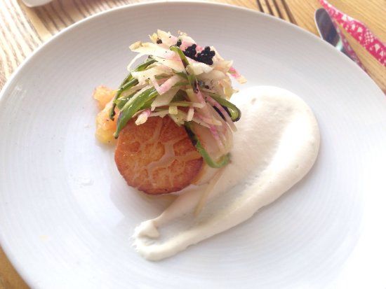 Plonk