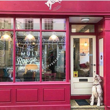 The Mule On Rouge