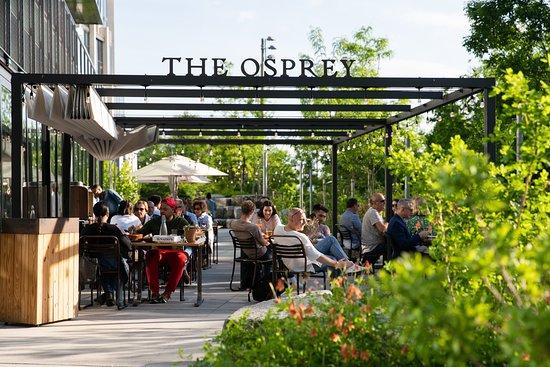 The Osprey
