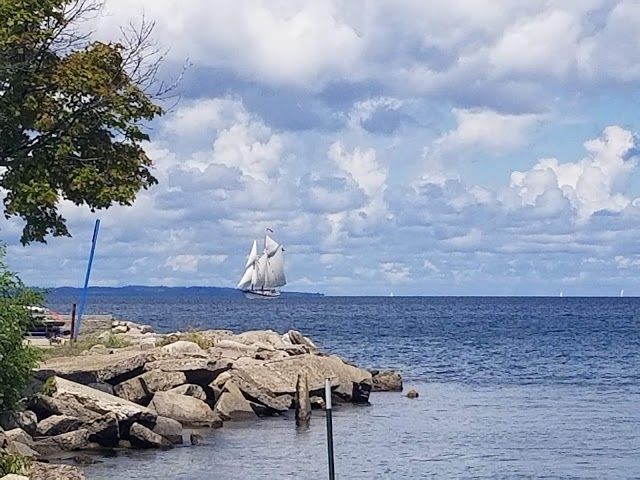 Clinch Park