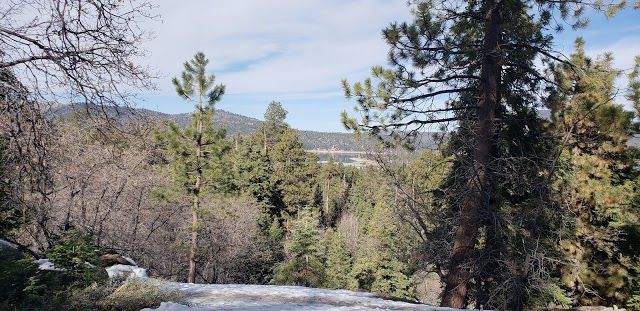 Pineknot Trail 1E01