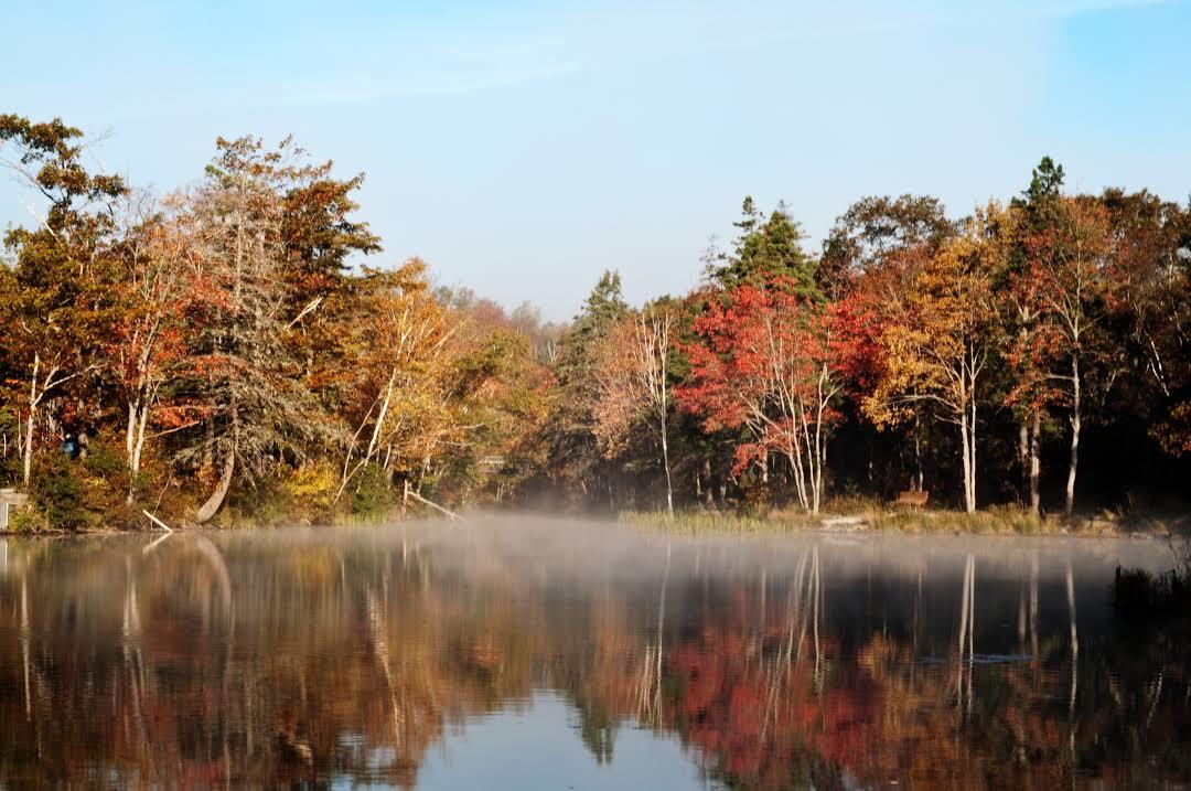 Shubie Park