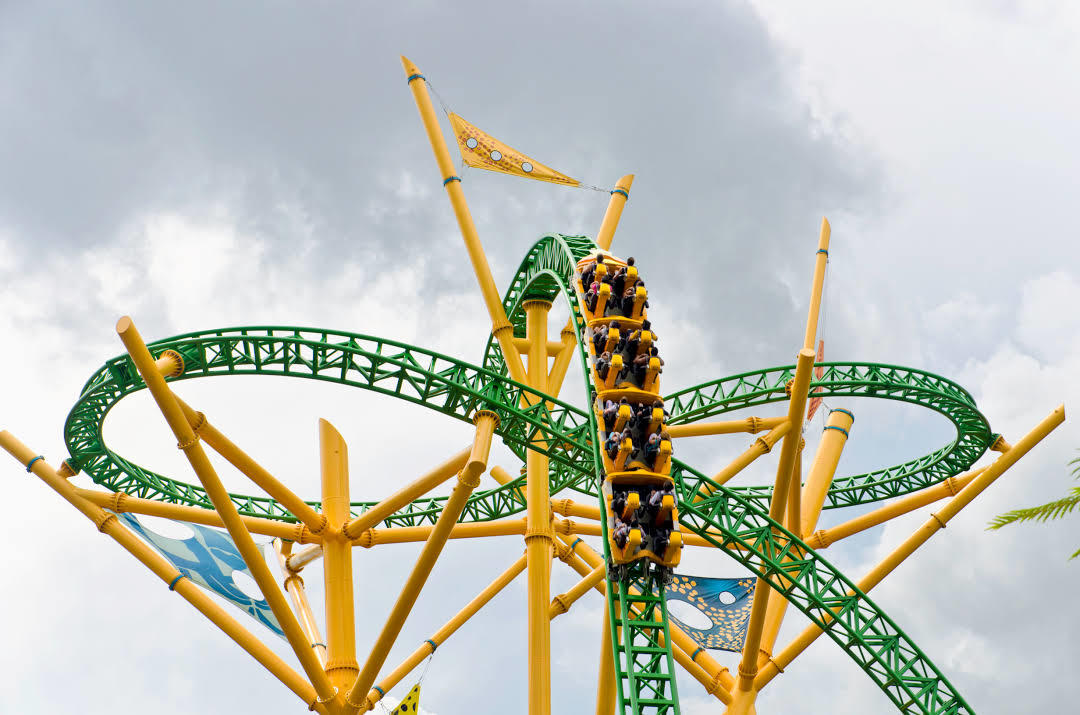 Cheetah Hunt