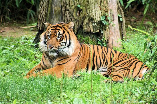 National Zoological Park