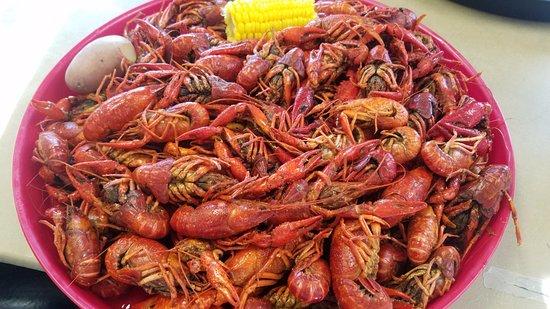 Mr. Bill's