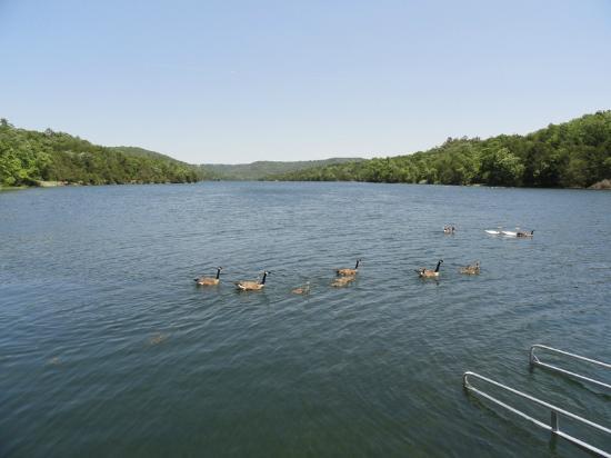 Lake Leatherwood
