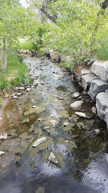 Rosamond Park