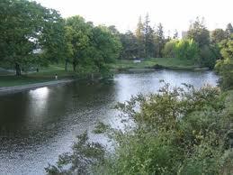 Lake Spafford