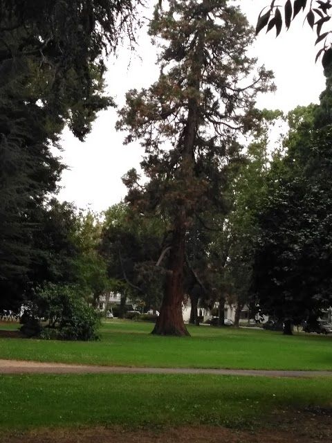 Fuller Park