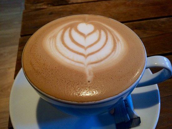The Coffee Tree