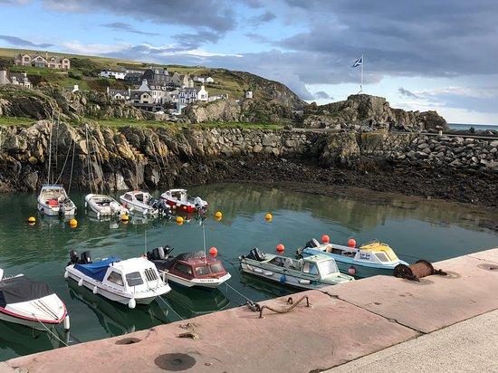 The Harbour House