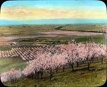 Santa Clara Valley