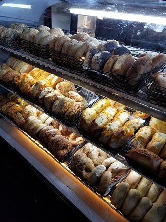 The Daily Bagel