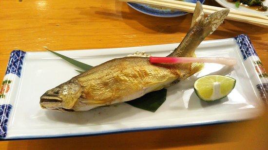Kintarozushi Umamichi