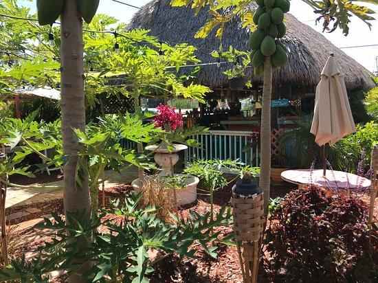 Irie Island Eats