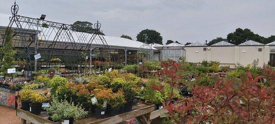 Kings Garden & Leisure