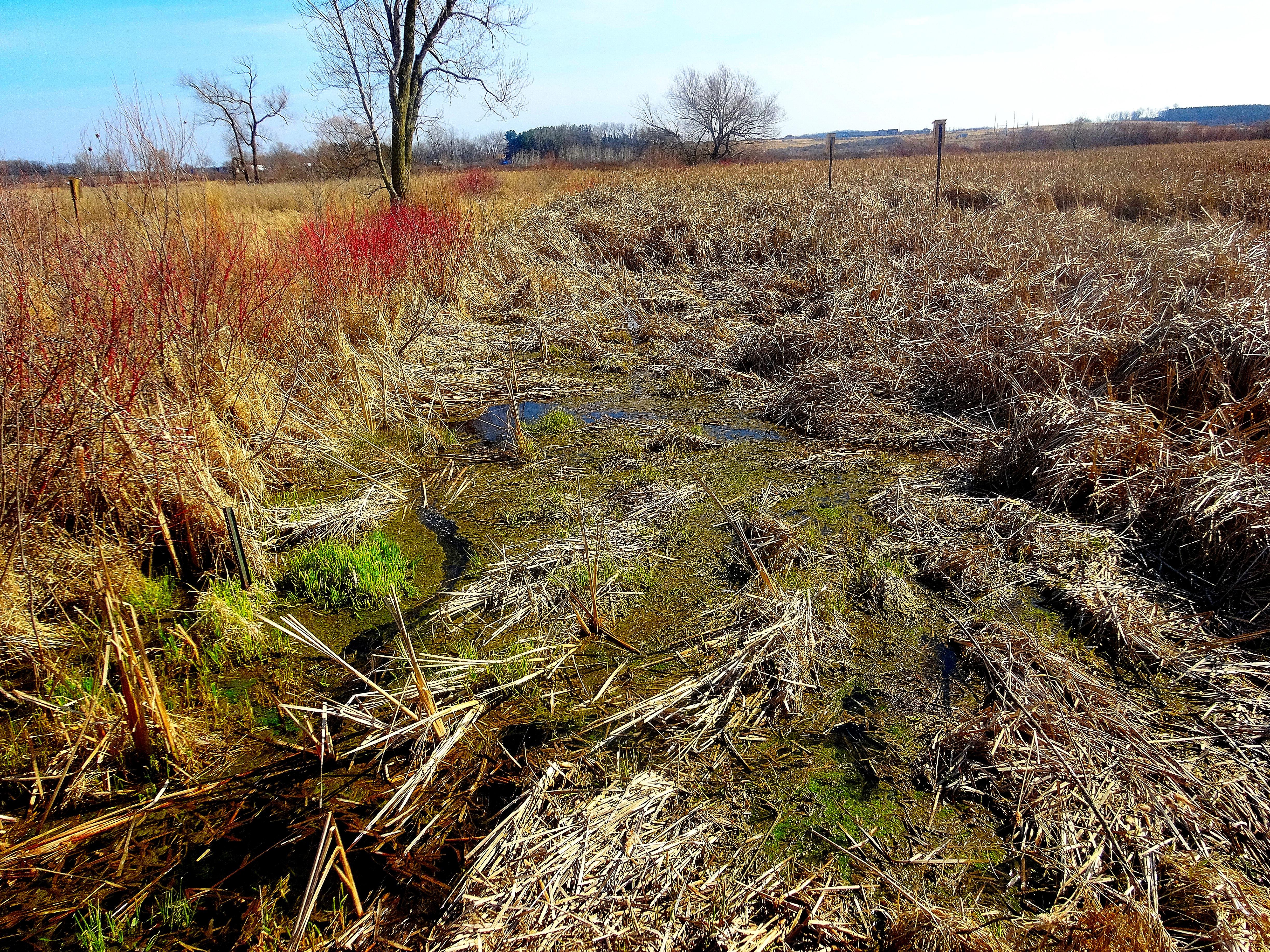 Capital Springs State Recreation Area