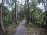 Shingle Creek Trailhead