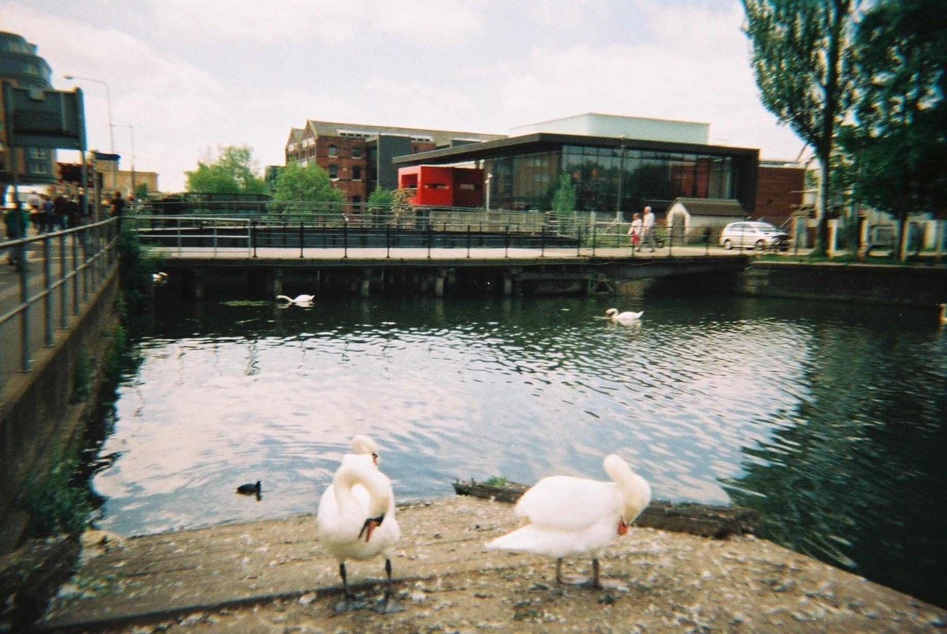 Engine Shed