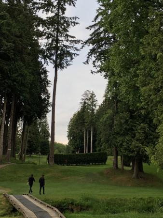 Meridian Golf Par 3