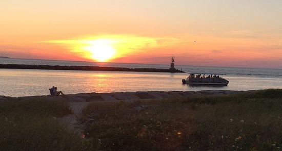 Mtk Cruises