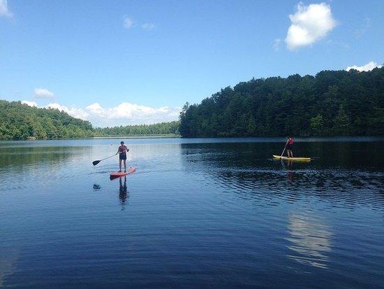 White Squirrel Paddle Boards