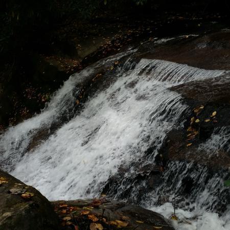 Pisgah Field School